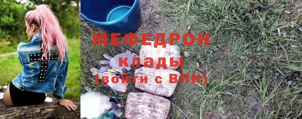 индика Вязьма