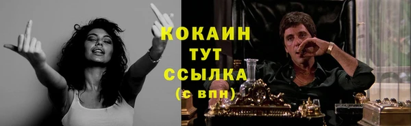 индика Вязьма