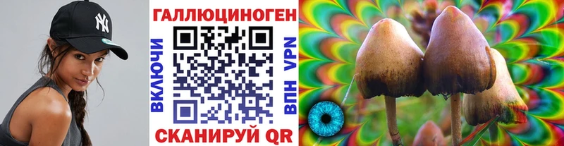 дарнет шоп  гидра ONION  Псилоцибиновые грибы мицелий  Юрьев-Польский 